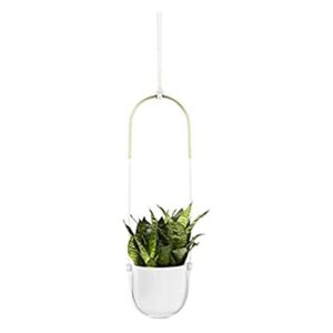 Umbra Bolo Hanging Planter