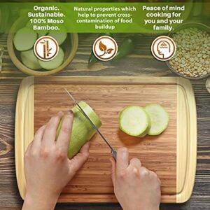 GREENER CHEF 12 Inch Small Cutting Board with Lifetime Replacements, Bamboo Cutting Boards for Kitchen, Butcher Block, Mini Wooden Chopping Board for Meat, Veggies, Non Toxic Charcuterie Board