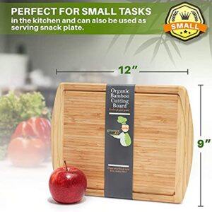 GREENER CHEF 12 Inch Small Cutting Board with Lifetime Replacements, Bamboo Cutting Boards for Kitchen, Butcher Block, Mini Wooden Chopping Board for Meat, Veggies, Non Toxic Charcuterie Board