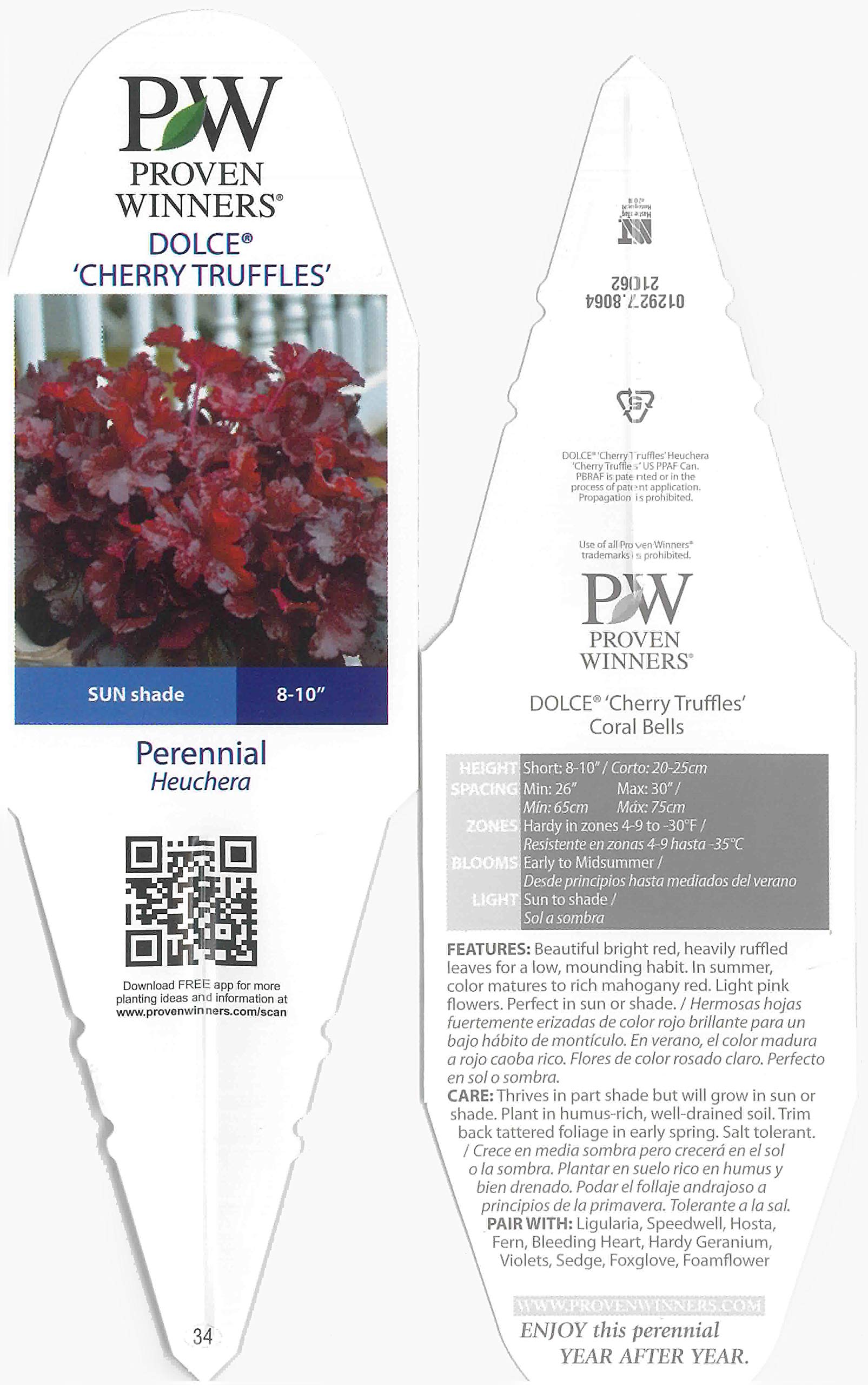 Proven Winners HEUPWP2147800 Dolce Cherry Truffles Coral Bells Live Plant, 4.5 in. Quart, Red Foliage