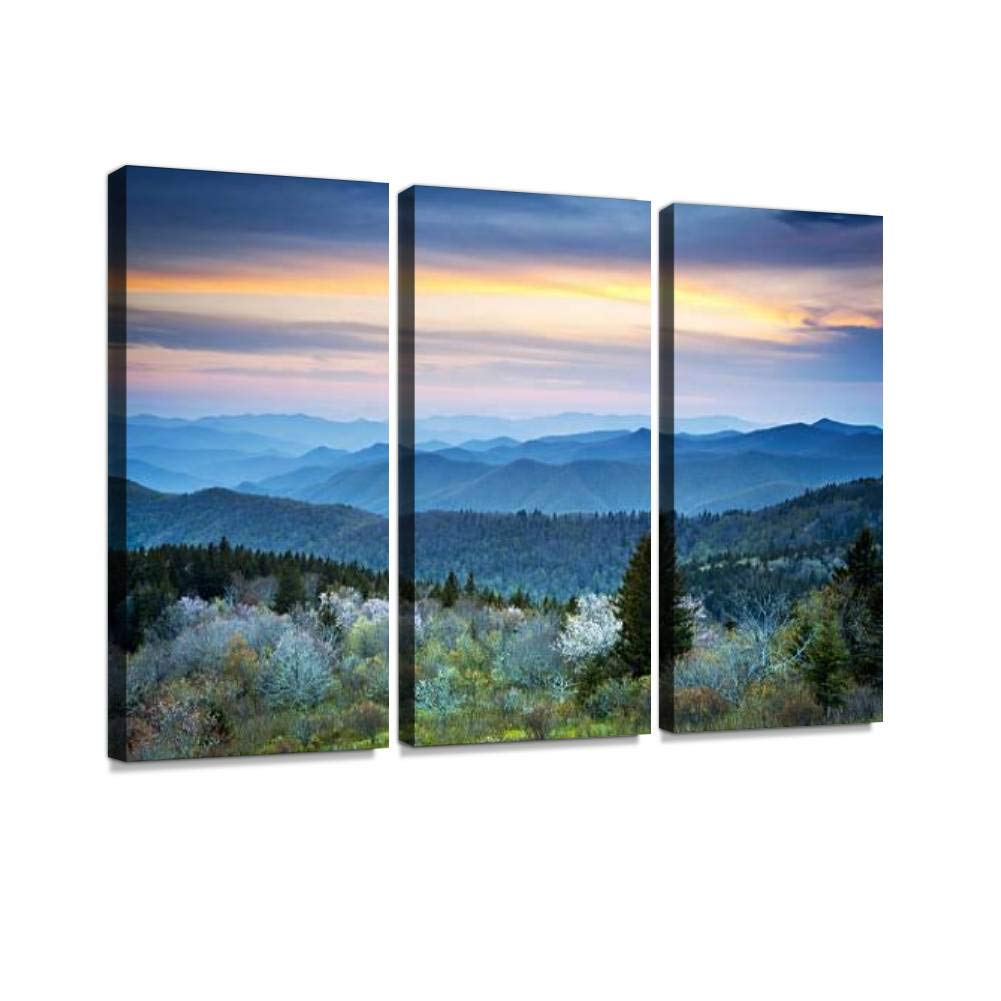 YKing1 Scenic Blue Ridge Parkway Appalachians Smoky Mountains Spring Landscape Wall Art Painting Pictures Print On Canvas Stretched & Framed Artworks Modern Hanging Posters Home Decor 3PANEL