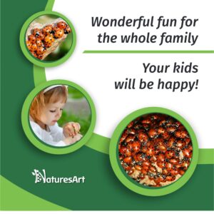 NaturesArt 3000 Live Ladybugs - Good Bugs for Garden - Ladybug - Guaranteed Live Delivery!