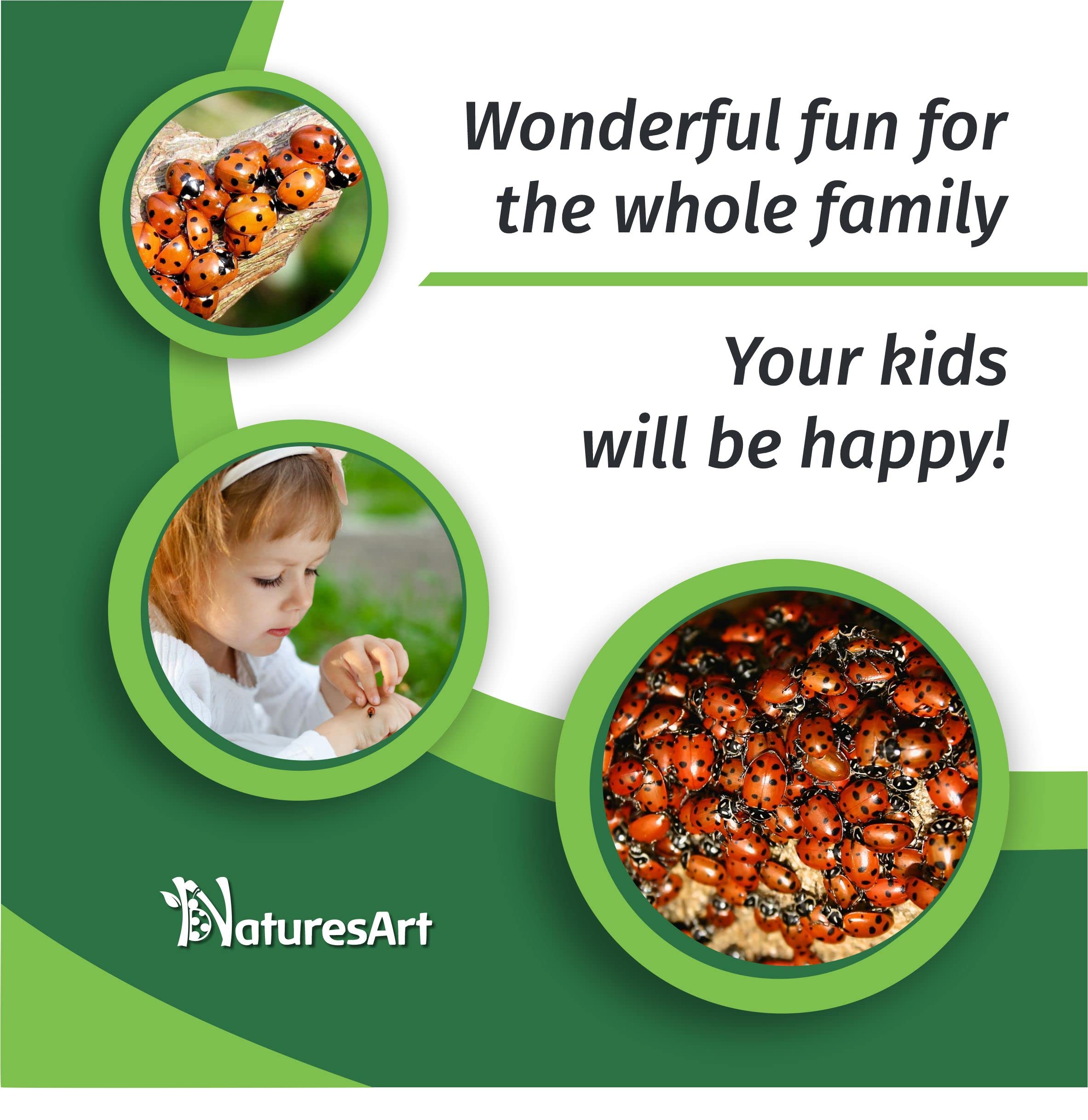 NaturesArt 3000 Live Ladybugs - Good Bugs for Garden - Ladybug - Guaranteed Live Delivery!