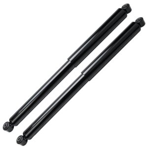 detroit axle - rear 2pc shock absorbers for 2009-2019 ford f-150, 2 complete shock absorbers assembly 2010 2011 2012 2013 2014 2015 2016 2017 2018 replacement