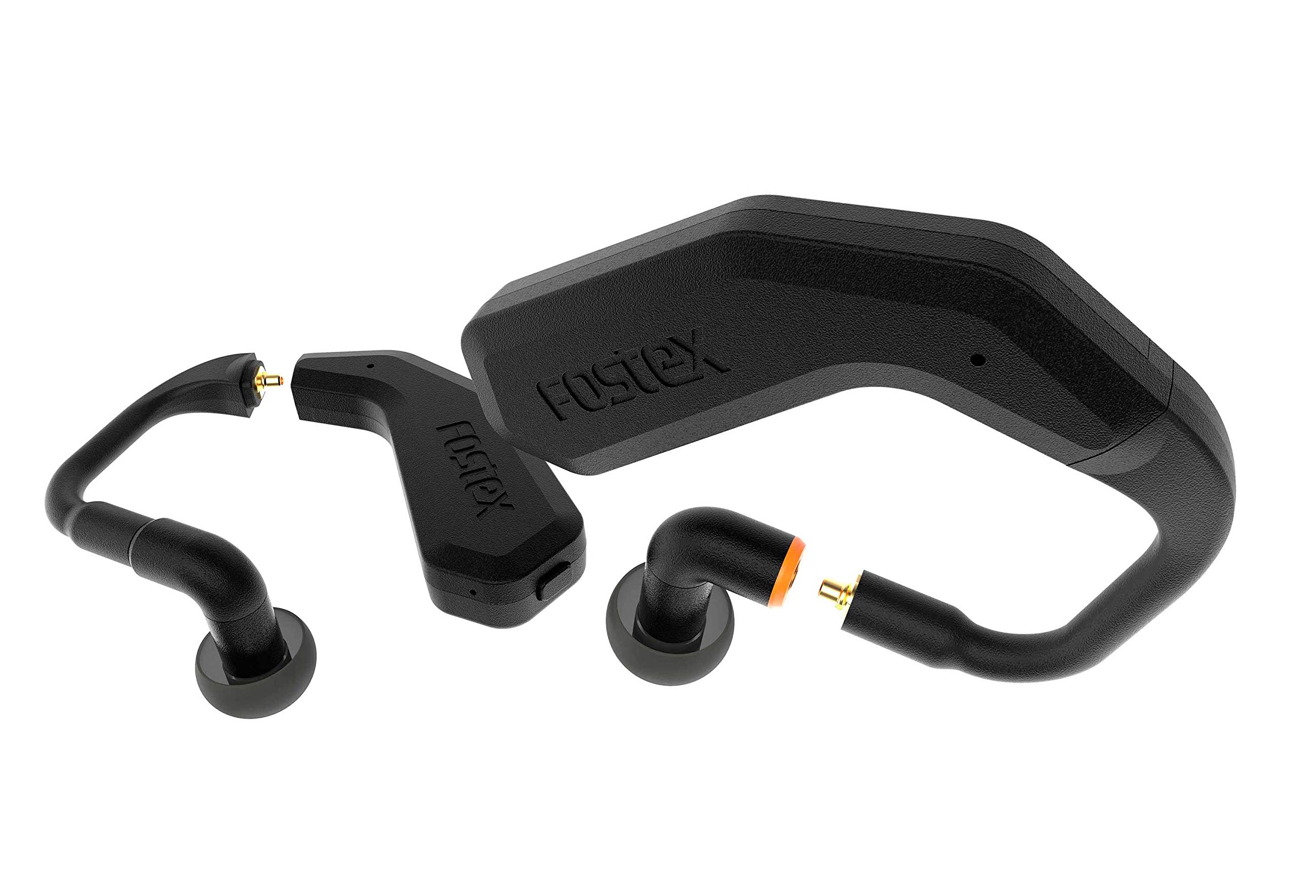 Fostex USA TM2 Earphones, True Wireless Stereo in-Ear System, Black (-TM-2)