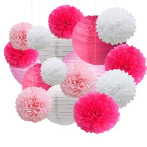 Celehappy Hanging Party Decorations Pom Tissue Paper Lantern for Weddings, Birthdays, Parties and Events Decorations, Hanging Paper Lantern Paper Tissue Flowers 10" 8" Set - Pink/White/Rose