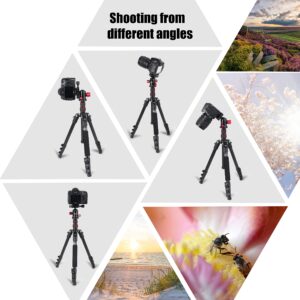 ZOMEI M5 Camera Tripod,Lightweight Travel Aluminum Tripod Monopod Compact Portable Photography Tripod Stand with 360 Degree Ball Head and Phone Clip for DSLR Cameras, Smartphone