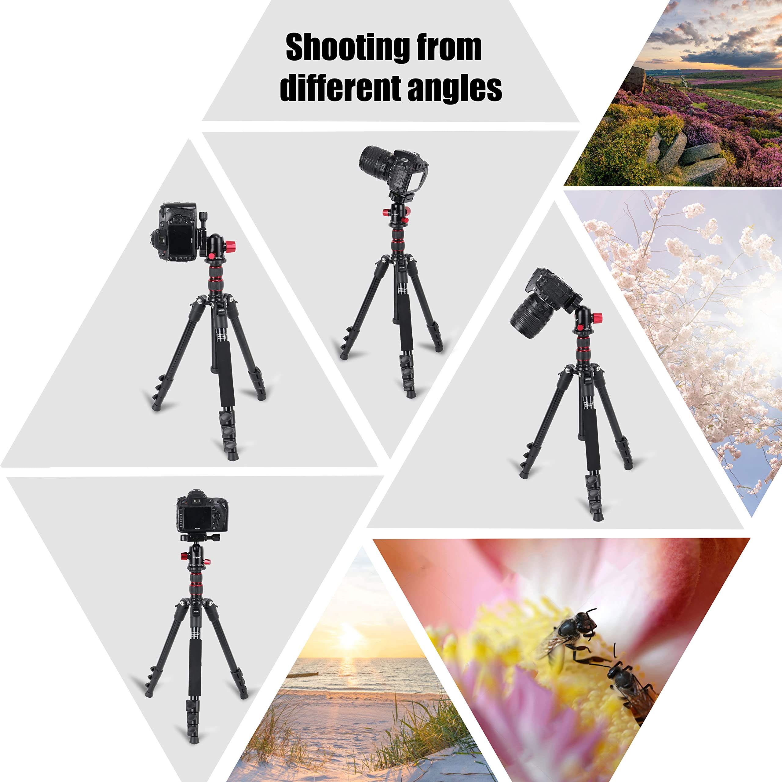 ZOMEI M5 Camera Tripod,Lightweight Travel Aluminum Tripod Monopod Compact Portable Photography Tripod Stand with 360 Degree Ball Head and Phone Clip for DSLR Cameras, Smartphone