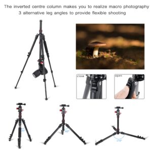 ZOMEI M5 Camera Tripod,Lightweight Travel Aluminum Tripod Monopod Compact Portable Photography Tripod Stand with 360 Degree Ball Head and Phone Clip for DSLR Cameras, Smartphone