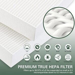 HPA100 True HEPA Filter Replacement HRF-ARVP100 for Honeywell HPA100 Series Air Purifier, HPA094, HPA104, HPA105 HPA3100, HPA5100 Series, 2 HEPA R and 8 Precut Carbon Pre-Filters A