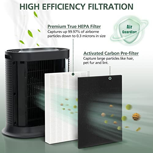 HPA100 True HEPA Filter Replacement HRF-ARVP100 for Honeywell HPA100 Series Air Purifier, HPA094, HPA104, HPA105 HPA3100, HPA5100 Series, 2 HEPA R and 8 Precut Carbon Pre-Filters A