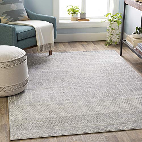 Livabliss Hana Modern Moroccan Area Rug,2' x 3',Medium Grey