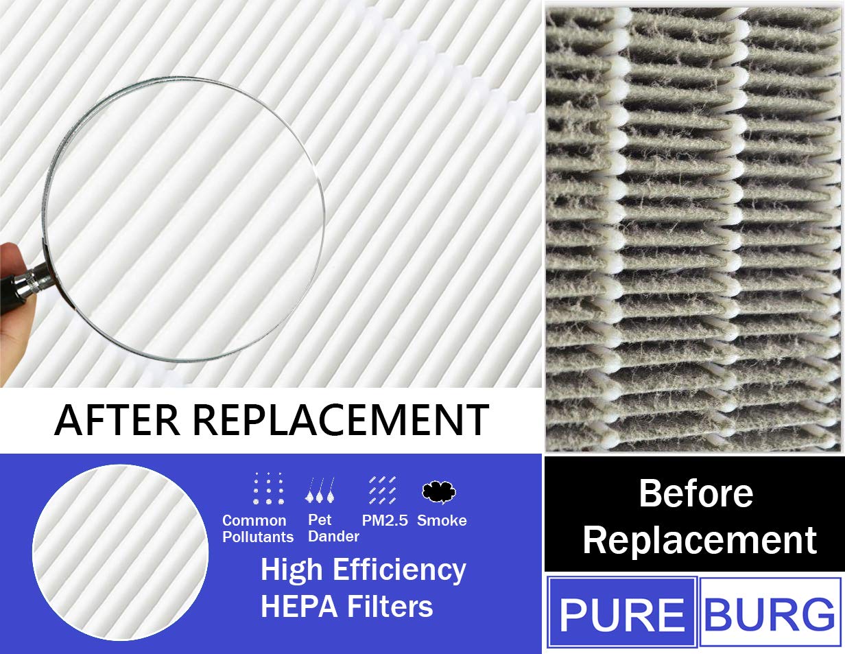 PUREBURG FP-A80UW Replacement True HEPA Filter Compatible with Sharp FZ-A80HFU Fits Sharp FP-A80UW FPA80UW PLASMACLUSTER Air Purifier,H13 Air Clean Dust,1-Pack