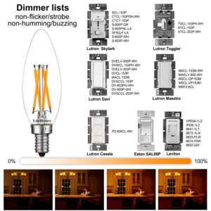 LiteHistory E12 led Bulb Dimmable 6W Equal 60 Watt 2700K AC120V Edison Bulb B10 B11 Candelabra Bulbs for Chandelier and Ceiling Fan Light Bulbs 600LM e12 Bulb 12Pack