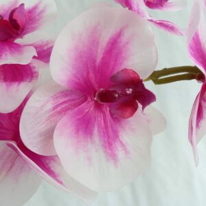 Jasming Artificial Phaleanopsis Flowers Fake Orchids Leaves Branches for Home Bonsai Garden Decoration (Pink)