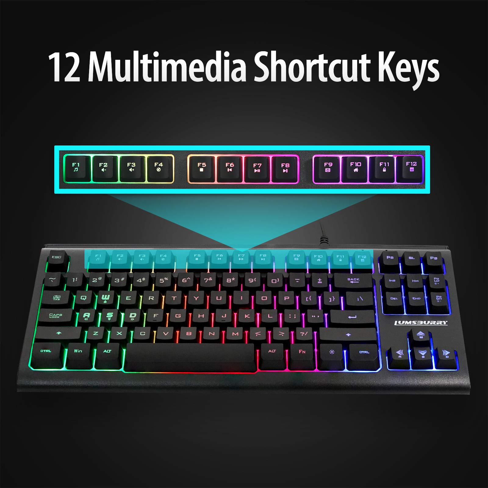 Lumsburry Rainbow LED Backlit 87 Keys Gaming Keyboard, Compact Keyboard with 12 Multimedia Shortcut Keys USB Wired Keyboard for PC Gamers Office