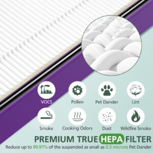 isinlive HAPF300AP Performance Plus Replacement Filter for Holmes AER1 HAPF300AP-U4 air Cleaner, 2 True HEPA+ 4 Carbon Pre Filters