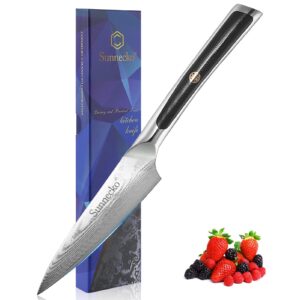 sunnecko small kitchen knife japanese paring knife 3.5 inch, damascus knife full tang, fruit knife dishwasher safe vg-10 high carbon stainless steel with g10 handle