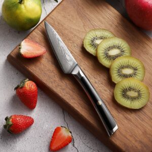 Sunnecko Small Kitchen Knife Japanese Paring Knife 3.5 Inch, Damascus Knife Full Tang, Fruit Knife Dishwasher Safe VG-10 High Carbon Stainless Steel with G10 Handle