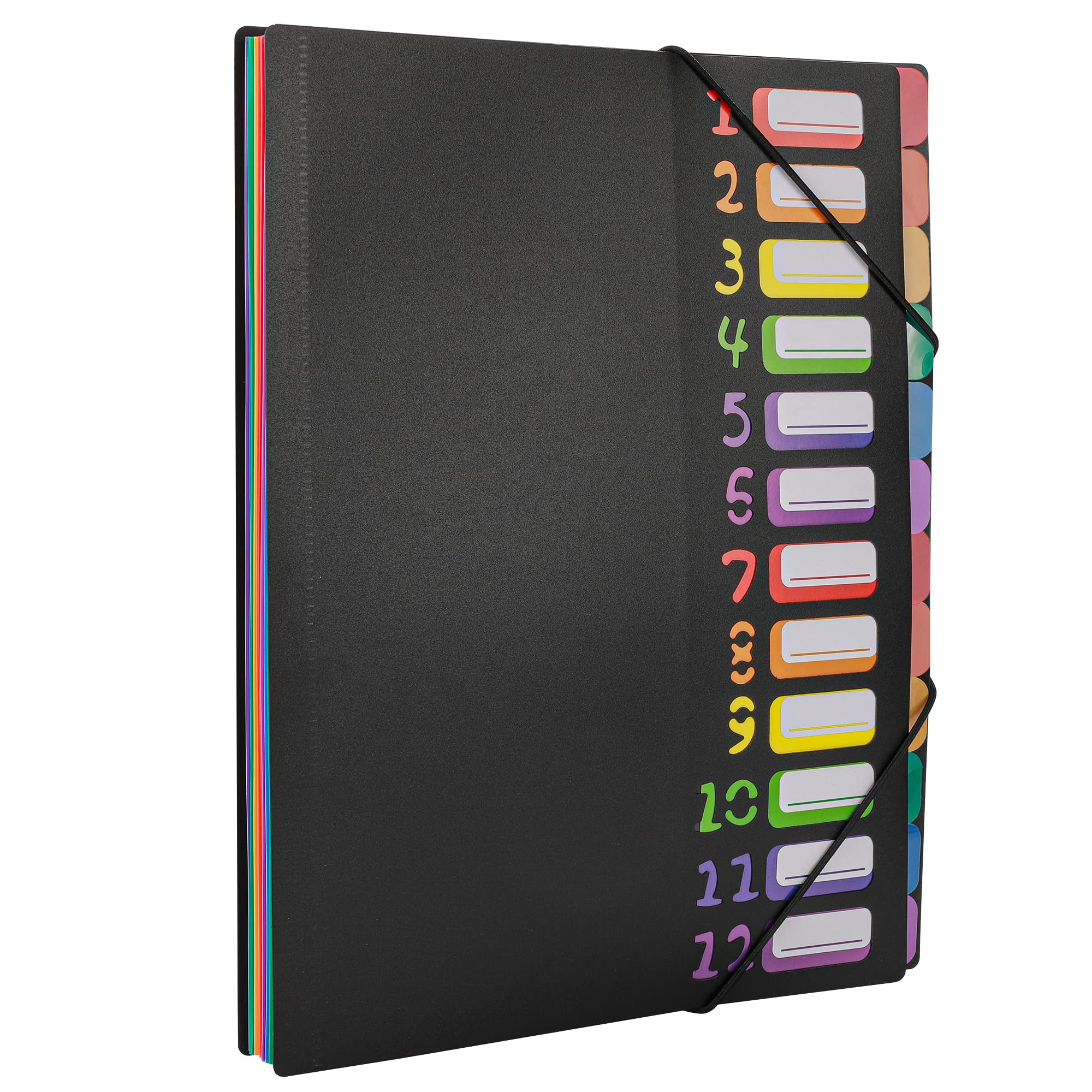 Edufun Rainbow Tab Expanding File Folder - 24 Pockets, Durable A4 Letter Size Organizer, Water-Resistant Plastic Dividers, Home/Office/School Document Holder (Black)