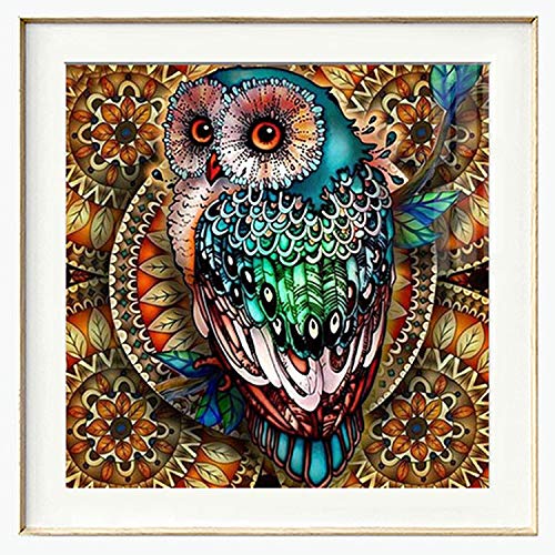 Cenda Diamond Painting Kits for Adults Kids, 5D DIY Owl Diamond Art Accessories with Round Full Drill for Home Wall Decor - 11.8×11.8Inches