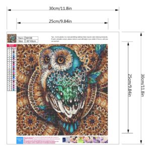 Cenda Diamond Painting Kits for Adults Kids, 5D DIY Owl Diamond Art Accessories with Round Full Drill for Home Wall Decor - 11.8×11.8Inches