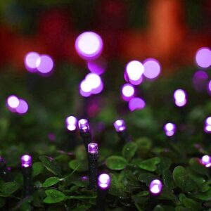 Twinkle Star 200 LED 66FT Halloween Fairy String Lights, Halloween Decoration Lights with 8 Lighting Modes, Mini String Lights Plug in for Indoor Outdoor Christmas Tree Decor, Purple