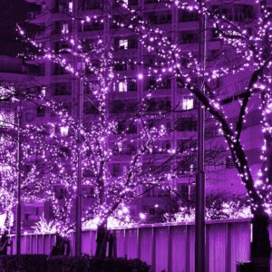 Twinkle Star 200 LED 66FT Halloween Fairy String Lights, Halloween Decoration Lights with 8 Lighting Modes, Mini String Lights Plug in for Indoor Outdoor Christmas Tree Decor, Purple