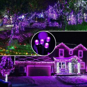 Twinkle Star 200 LED 66FT Halloween Fairy String Lights, Halloween Decoration Lights with 8 Lighting Modes, Mini String Lights Plug in for Indoor Outdoor Christmas Tree Decor, Purple