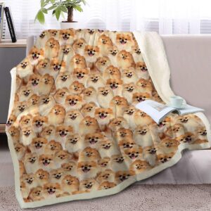 blessliving pomeranian throw blanket fuzzy dogs blanket for kids people cute puppy fleece blanket reversible animal pet sherpa couch throw pomeranian gifts for pomeranian lovers (50 x 60 inches)