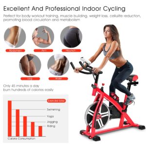 Goplus Indoor Cycling Bike, Stationary Bicycle Exercise Bike with Flywheel and LCD Display, Cardio Fitness Cycle Trainer Professional Exercise Bike for Home and Gym Use