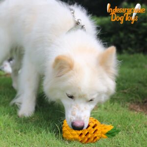 LPHSNR Upgrade Dog Toys for Aggressive Chewers Large Dogs, Tough Dog Chew Toys for Medium Large Dogs Breed Indestructible, Dental Clean Dispensing Toys Pineapple Shape Design