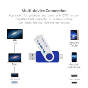 leizhan 128GB Dual Port USB C Flash Drive Picture Stick Compatible with Samsung Galaxy S10+, S10e, S10,S9, Note 9, S8, S8 Plus, Blue