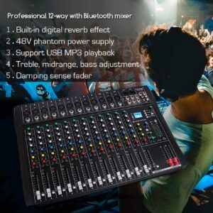 Depusheng DT12 Studio Audio Mixer 12-Channel DJ Sound Controller Interface w/USB Drive for Computer Recording Input, XLR Microphone Jack, 48V Power, RCA Input/Output for Professional and Beginners