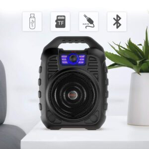 EARISE T26 Portable Bluetooth PA Speaker System with Wireless Microphone, 12W Karaoke Machine for Party/Outdoors, 3600mAh Battery, FM Radio, Audio Recording, Remote Control, Supports TF Card/USB/AUX