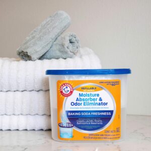 Arm & Hammer AH Refillable Tub 2 Amazon Moisture Absorber, 14 oz (2 Pack), White,Blue, 28 Oz