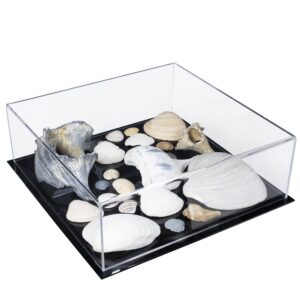 better display cases versatile acrylic clear display case - medium rectangle box with black base 12" x 12" x 4" (a030b-bds)