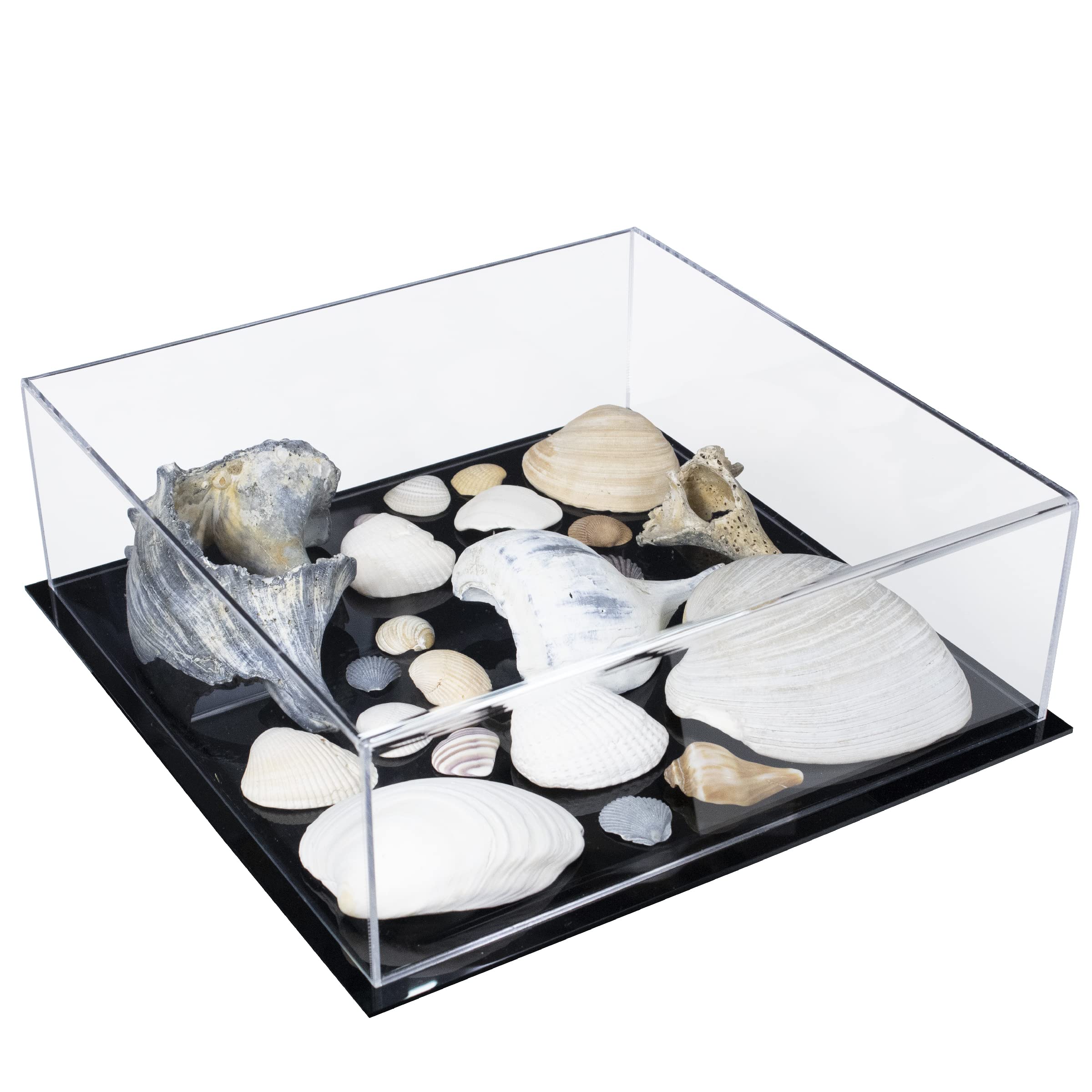 Better Display Cases Versatile Acrylic Clear Display Case - Medium Rectangle Box with Black Base 12" x 12" x 4" (A030B-BDS)