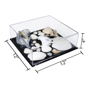 Better Display Cases Versatile Acrylic Clear Display Case - Medium Rectangle Box with Black Base 12" x 12" x 4" (A030B-BDS)