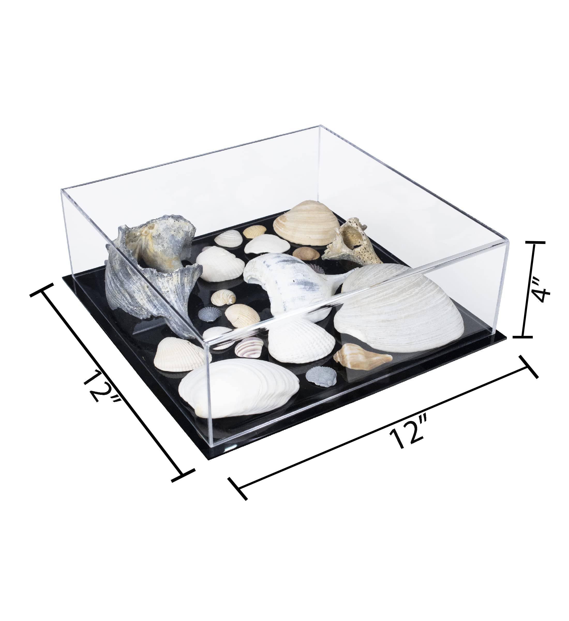 Better Display Cases Versatile Acrylic Clear Display Case - Medium Rectangle Box with Black Base 12" x 12" x 4" (A030B-BDS)