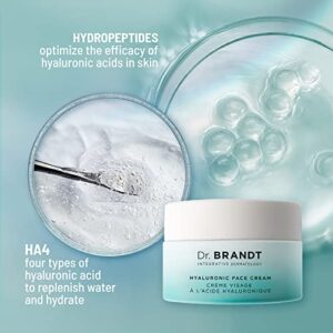 Needles No More Hyaluronic Face Cream - Long-Lasting Plumping Hydrator for Dehydrated and Dry Skin - 1.7 oz / 50 g