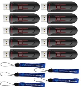 sandisk 128gb cruzer glide 3.0 usb flash drive (10 pack bundle) jump drive pen drive works with laptop computers with usb 2.0/3.0 port (sdcz600-128g-g35) plus (5) everything but stromboli (tm) lanyard