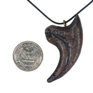 Mid-Land Scientific adults Velociraptor Dinosaur Claw Pendant Necklace (344-2)