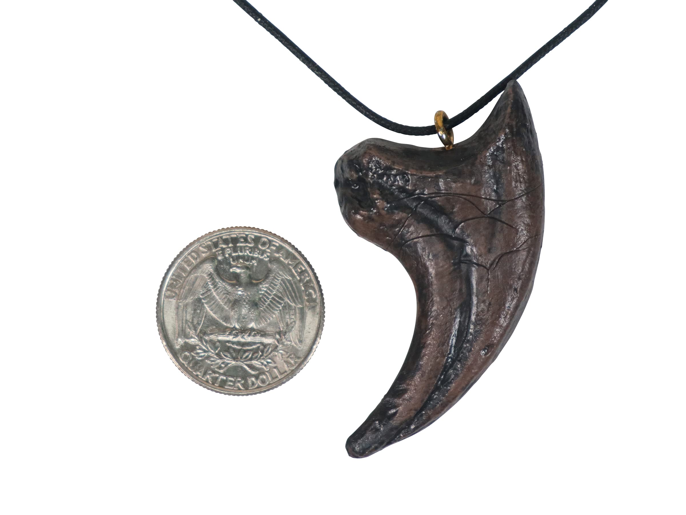 Mid-Land Scientific adults Velociraptor Dinosaur Claw Pendant Necklace (344-2)