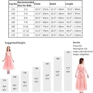 Toddler Girl's Embroidery Tulle Lace Maxi Flower Girl Wedding Bridesmaid Dress 3/4 Sleeve Long A Line Pageant Formal Prom Dance Evening Gowns Casual Holiday Party Dress Bean Pink 3-4