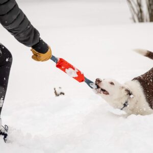 Ruffwear, Pacific Loop Dog Toy, Interactive Tug Toy for Playing and Training, Sockeye Red