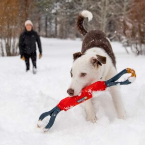 Ruffwear, Pacific Loop Dog Toy, Interactive Tug Toy for Playing and Training, Sockeye Red