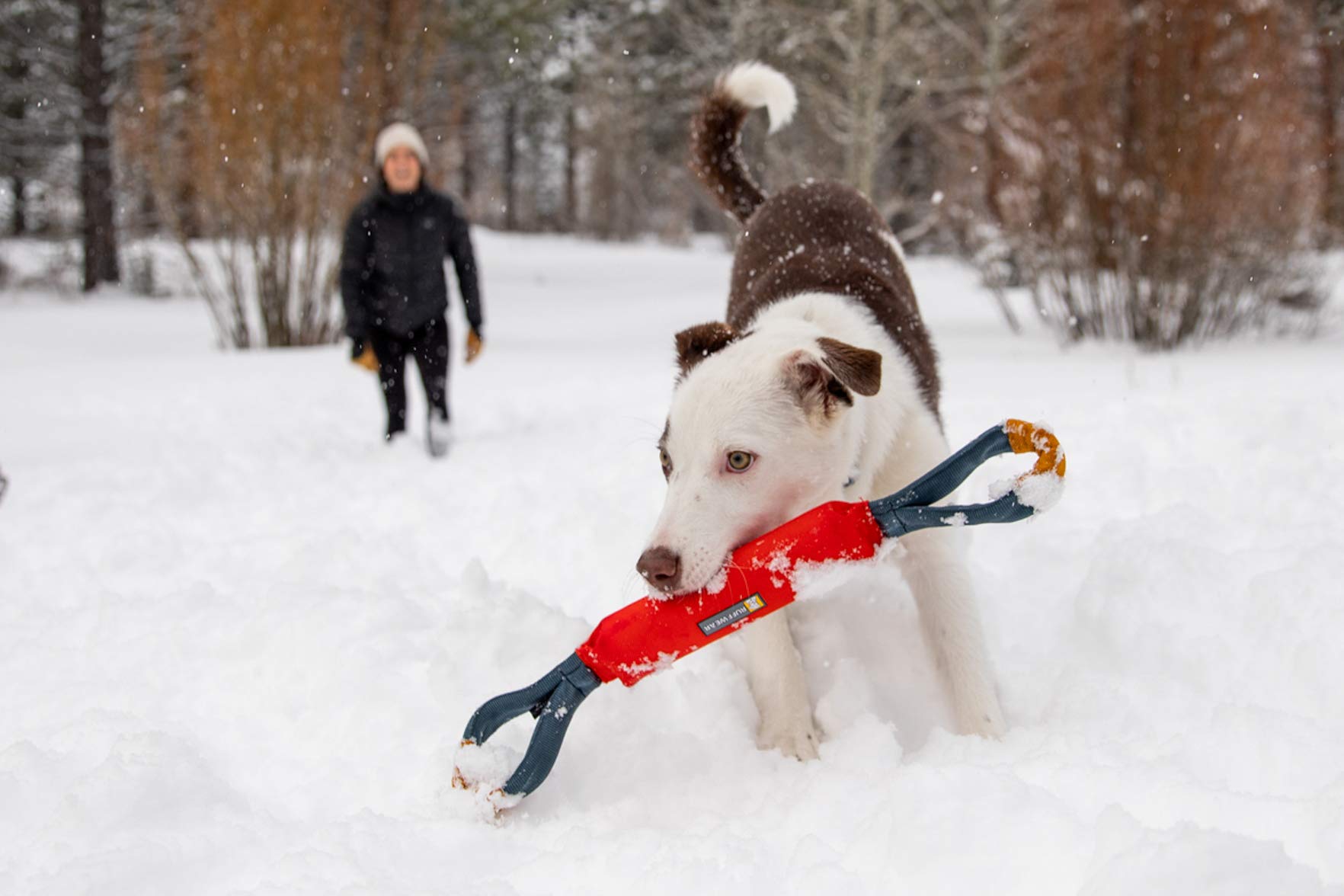 Ruffwear, Pacific Loop Dog Toy, Interactive Tug Toy for Playing and Training, Sockeye Red