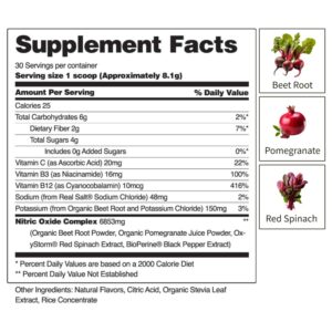 Snap Supplements USDA Organic Beet Root Powder, 3-in-1 Nitric Oxide Supplement, Support Healthy Blood Circulation, 250g (Mixed Berry)