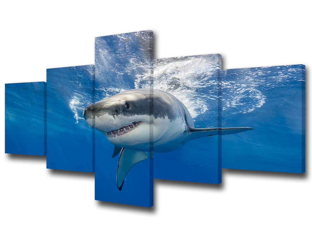 TUMOVO 5 Piece Great White Shark Paintings Wall Art Canvas Prints Black and White Large Animal Wall Poster Artwork Pictures for Home Office Wall Decorations Framed Ready to Hang - 50" W x 24" H